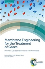 Membrane Engineering for the Treatment of Gases - 