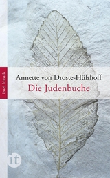 Die Judenbuche - Annette von Droste-H&uuml;lshoff