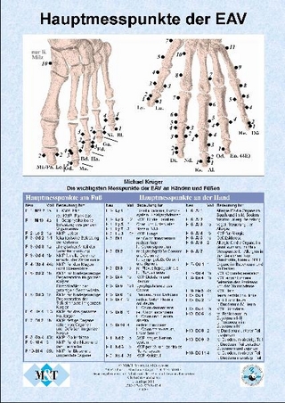 Die wichtigsten Messpunkte (Hauptmesspunkte) der Elektroakupunktur an Händen und Füßen   (Info-Blatt, Papier, DIN A4)