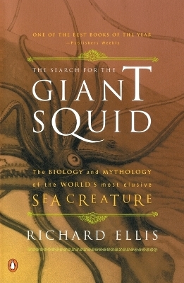 The Search for the Giant Squid