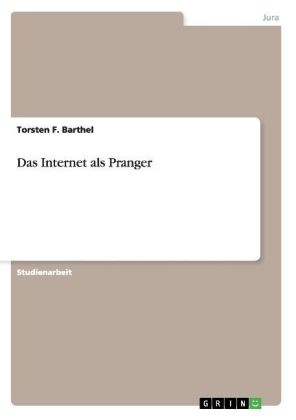 Das Internet als Pranger