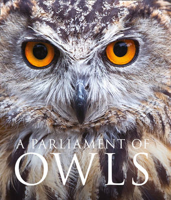 A Parliament of Owls - Mike Unwin