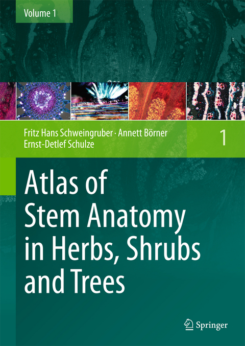 Atlas of Stem Anatomy in Herbs, Shrubs and Trees - Fritz Hans Schweingruber, Annett B&ouml;rner, Ernst-Detlef Schulze