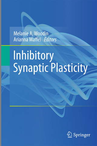 Inhibitory Synaptic Plasticity