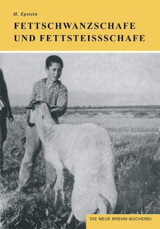Fettschwanzschafe und Fettsteißschafe