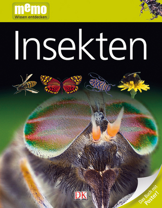 memo Wissen entdecken. Insekten