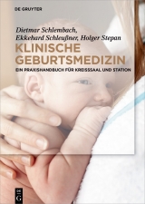 Klinische Geburtsmedizin -  Dietmar Schlembach,  Ekkehard Schleußner,  Holger Stepan
