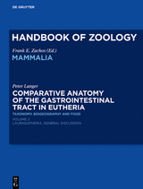 Comparative Anatomy of the Gastrointestinal Tract in Eutheria II - Peter Langer
