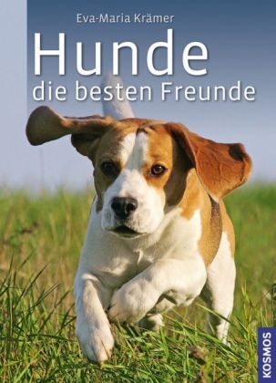 Hunde, die besten Freunde
