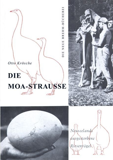 Die Moa-Strau&szlig;e - Otto Kr&ouml;sche