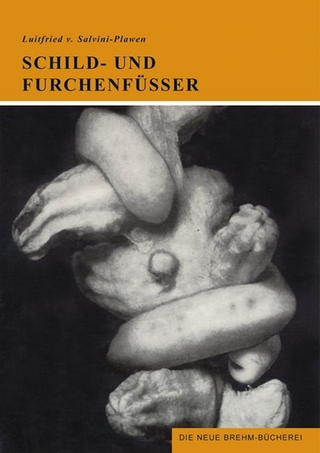 Schild- und Furchenfüsser