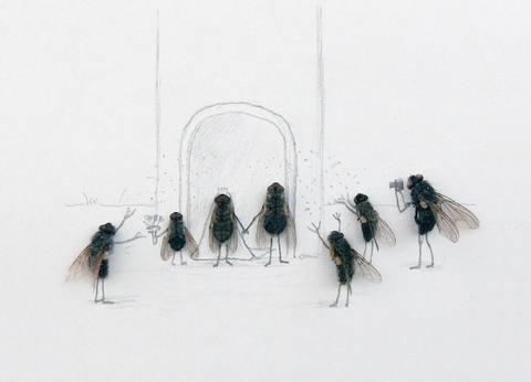 Das geheime Leben der Fliegen - Magnus Muhr