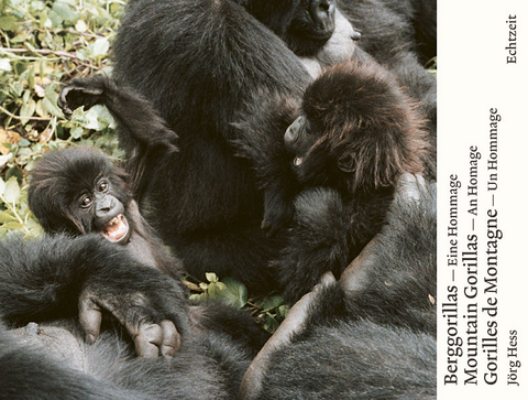 Berggorillas. Gorilles de montagne. Mountain Gorillas - J&ouml;rg Hess
