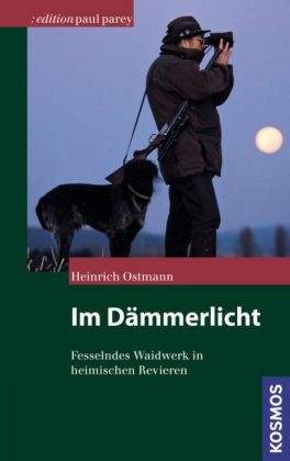 Im D&auml;mmerlicht - Heinrich Ostmann