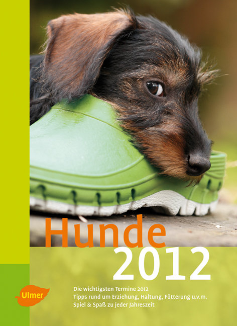 Hunde 2012 - Gabi Franz