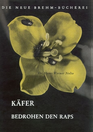 Käfer bedrohen den Raps