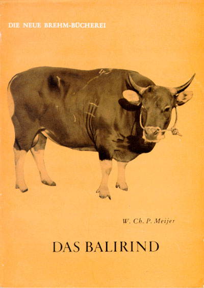 Das Balirind - W Ch Meijer