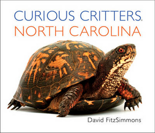 Curious Critters North Carolina
