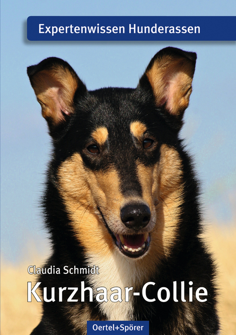 Kurzhaar-Collie - Claudia Schmidt