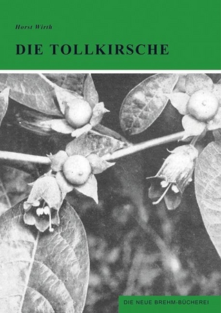 Die Tollkirsche