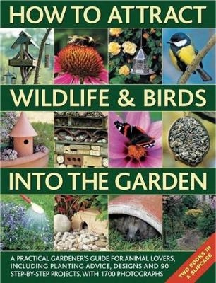 How to Attract Wildlife & Birds into the Garden - Christine Lavelle, Michael Lavelle