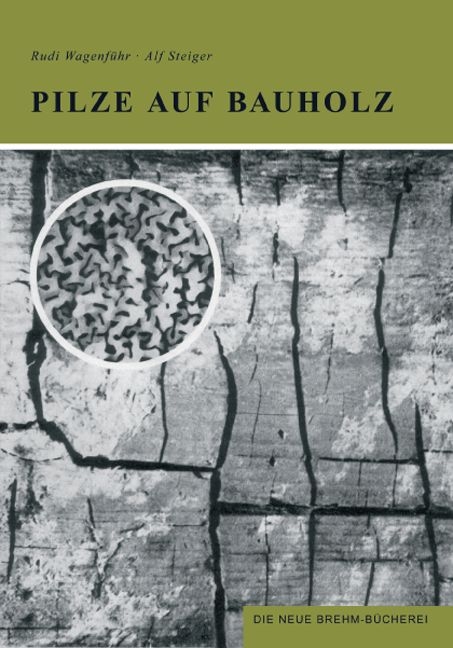 Pilze auf Bauholz - Rudi Wagenf&uuml;hr