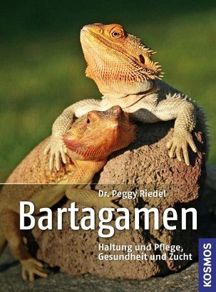Bartagamen