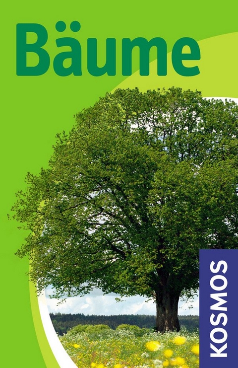 B&auml;ume - Holger Haag