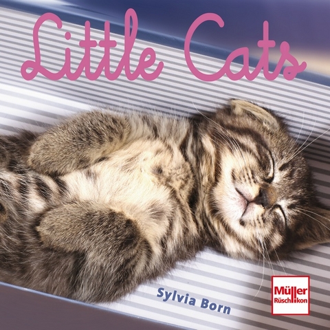 Little Cats - Sylvia Born