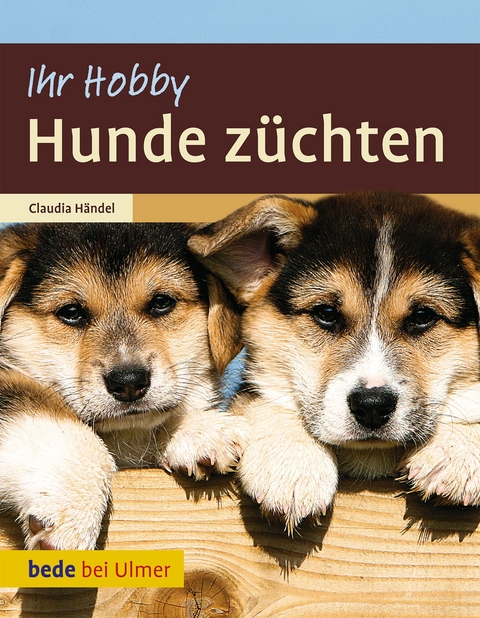 Hunde z&uuml;chten - Claudia H&auml;ndel