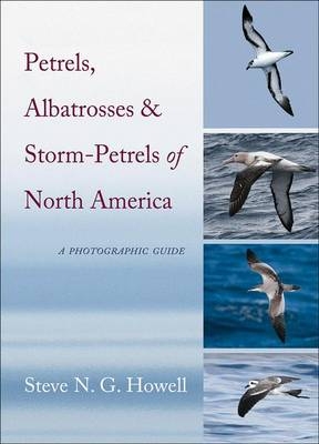 Petrels, Albatrosses, and Storm-Petrels of North America - Steve N. G. Howell