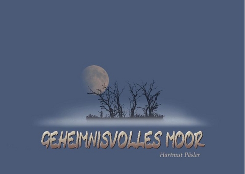 Geheimnisvolles Moor - Hartmut P&auml;sler
