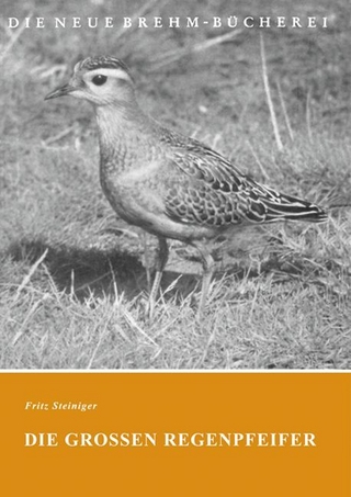 Die großen Regenpfeifer
