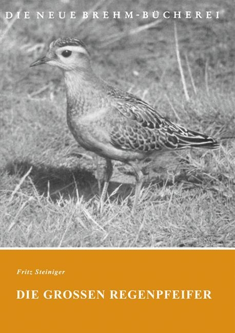 Die gro&szlig;en Regenpfeifer - Fritz Steiniger