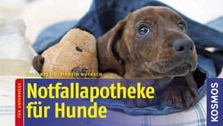 Notfallapotheke für Hunde