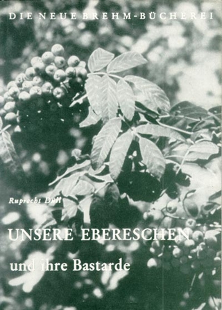 Unsere Ebereschen und ihre Bastarde