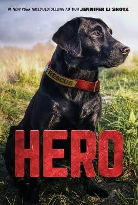 Hero - Jennifer Li Shotz