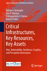 Critical Infrastructures, Key Resources, Key Assets -  Adrian V. Gheorghe,  Dan V. Vamanu,  Polinpapilinho F. Katina,  Roland Pulfer