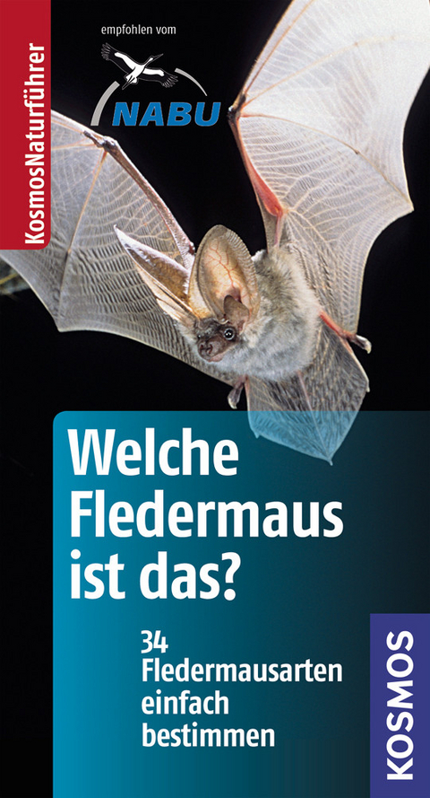 Welche Fledermaus ist das? - Klaus Richarz