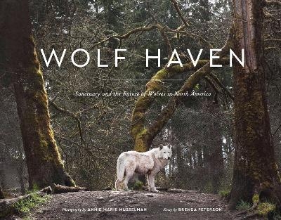 Wolf Haven - Brenda Peterson