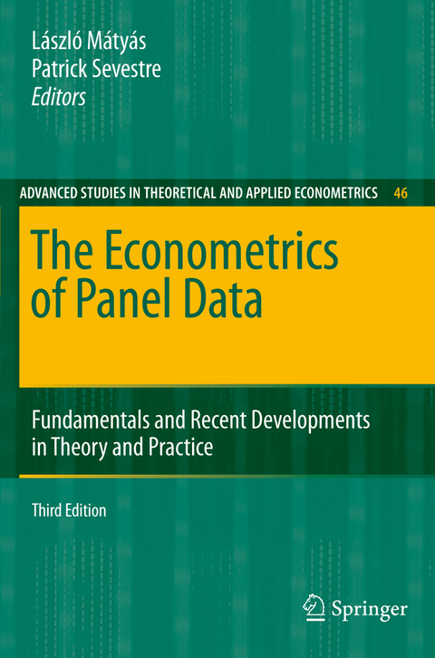 The Econometrics of Panel Data - 