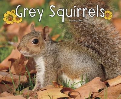 Grey Squirrels - G.G. Lake