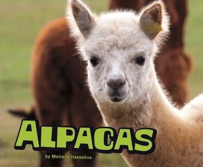 Alpacas - Michelle Hasselius