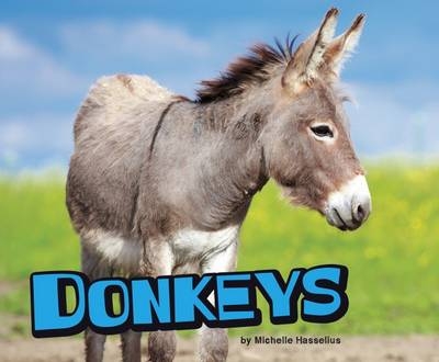 Donkeys - Michelle Hasselius
