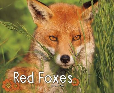 Red Foxes - G.G. Lake