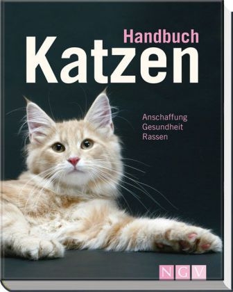 Handbuch Katzen - Antje Breuer