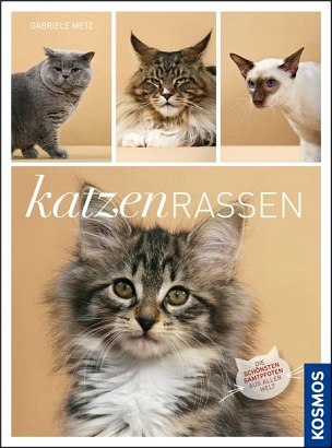 Katzenrassen