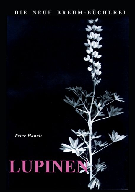 Die Lupinen - Peter Hanelt