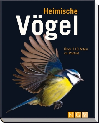 Heimische V&ouml;gel - Jochen Dierschke, Volker Dierschke