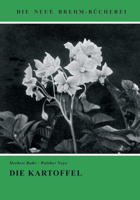 Die Kartoffel - Helene Buhr